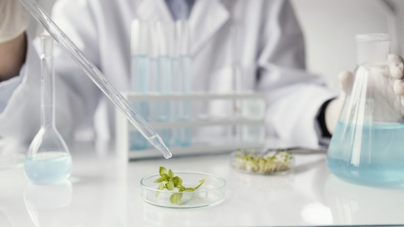 ngành Dược học tại Y Dược TP.HCM