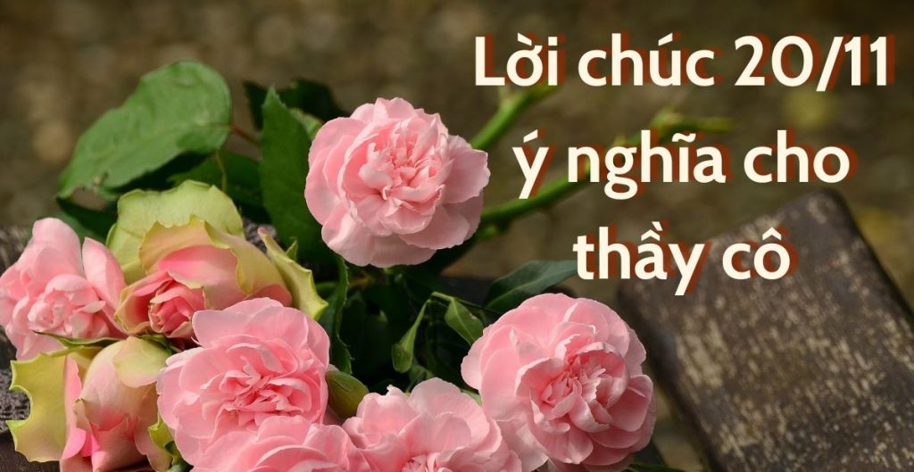 20 lời chúc 20/11