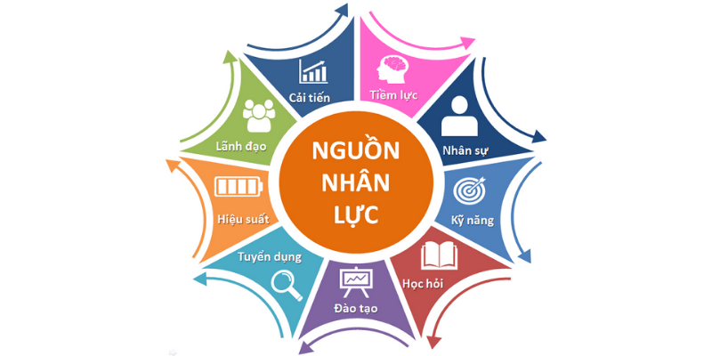 review-nganh-quan-tri-nhan-luc