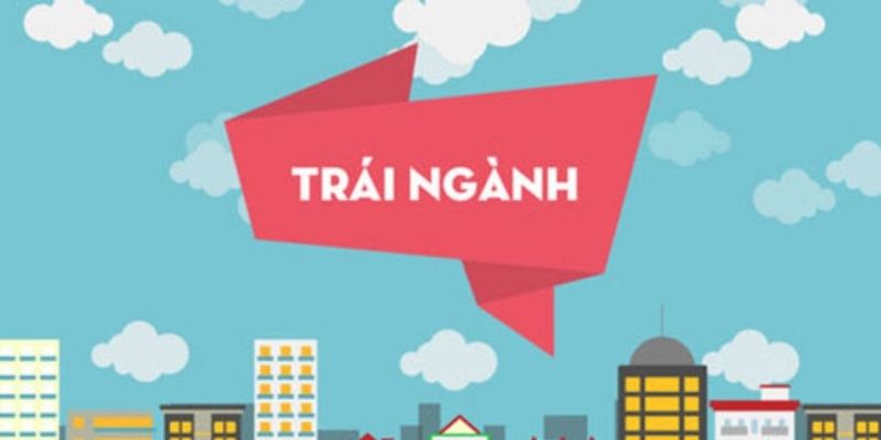 co-nen-hoc-tiep-dai-hoc-khi-co-cong-viec-trai-nganh